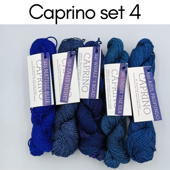 Malabrigo Caprino